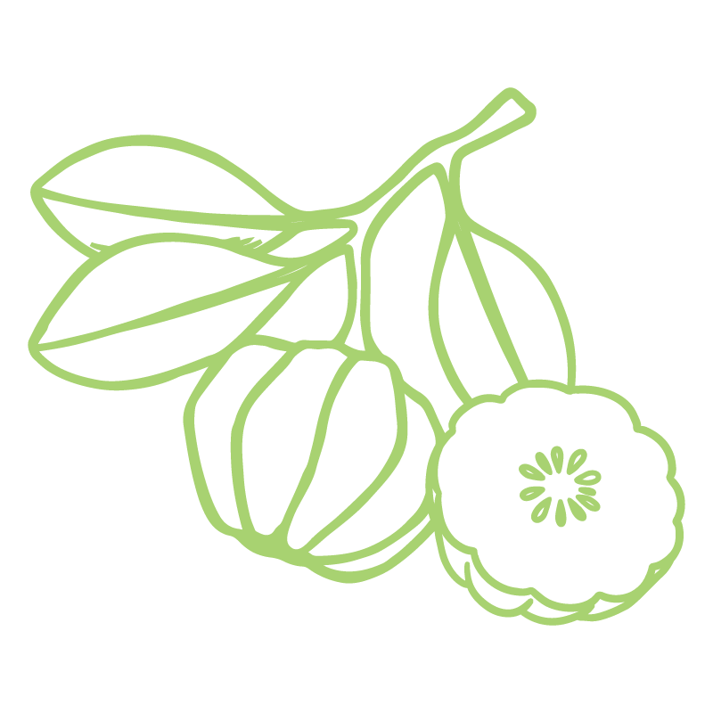 Ingredient Icons_Garxlim®