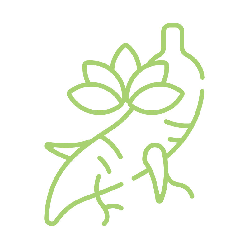 Ingredient Icons_Innoslim™