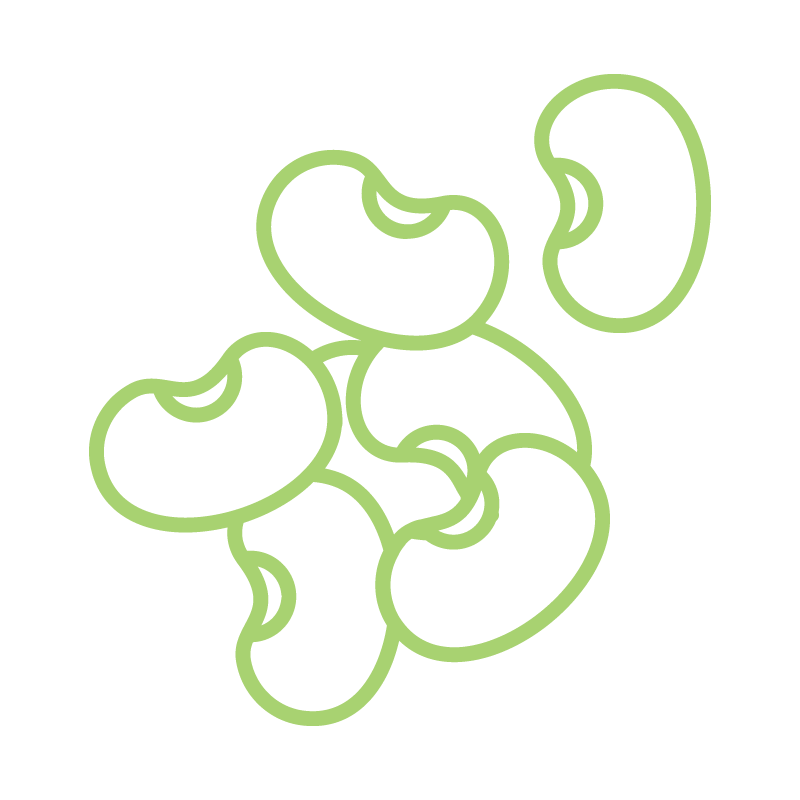 Ingredient Icons_White Kidney Beans
