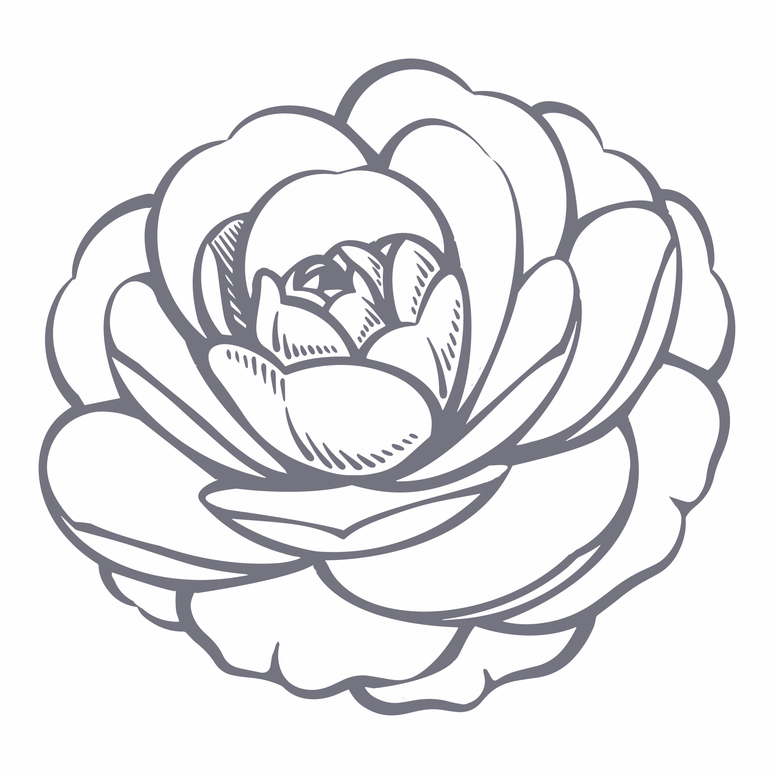 Liftera V_Camellia Japonica Flower-