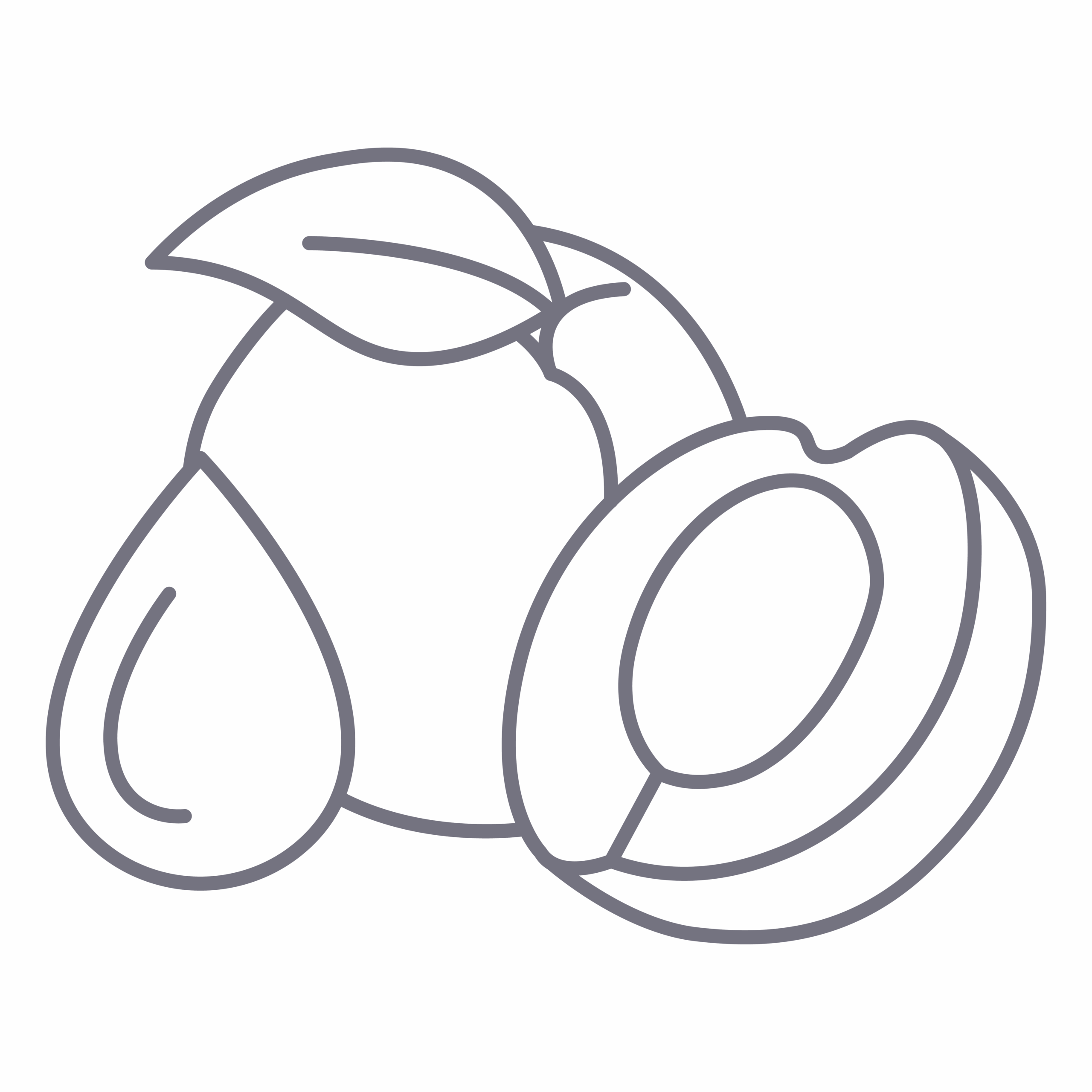 Liftera V_Dicaprylyl Carbonate-