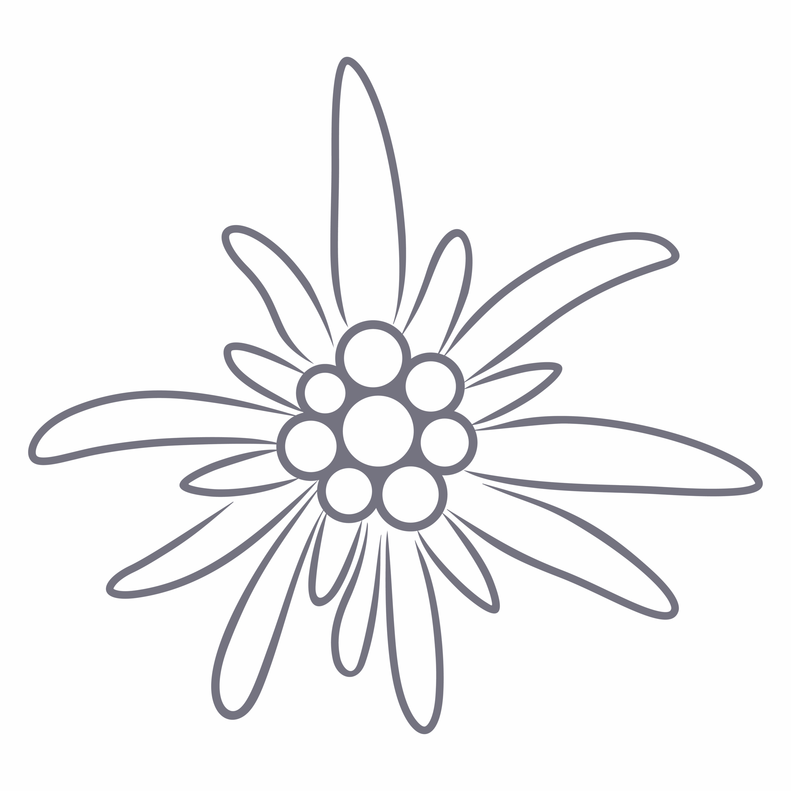 Liftera V_Edelweiss-