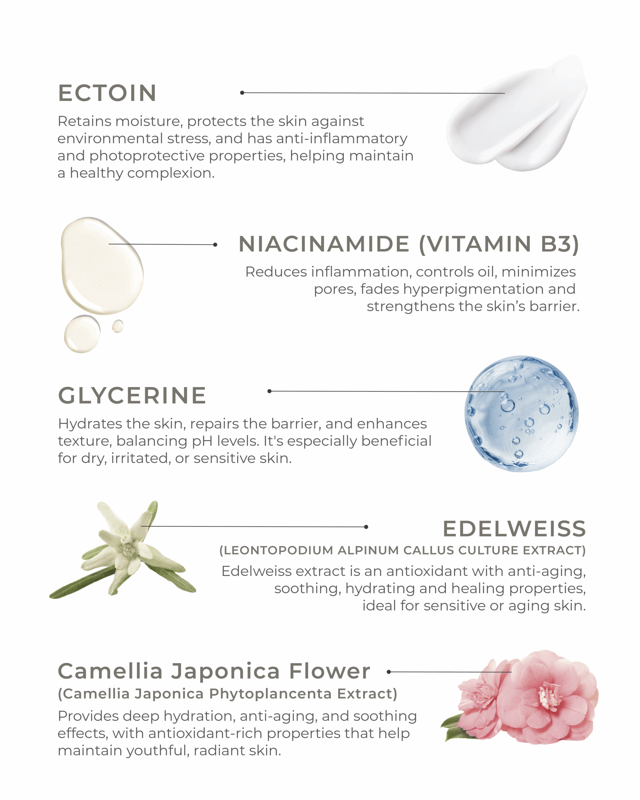 liftera v website-03