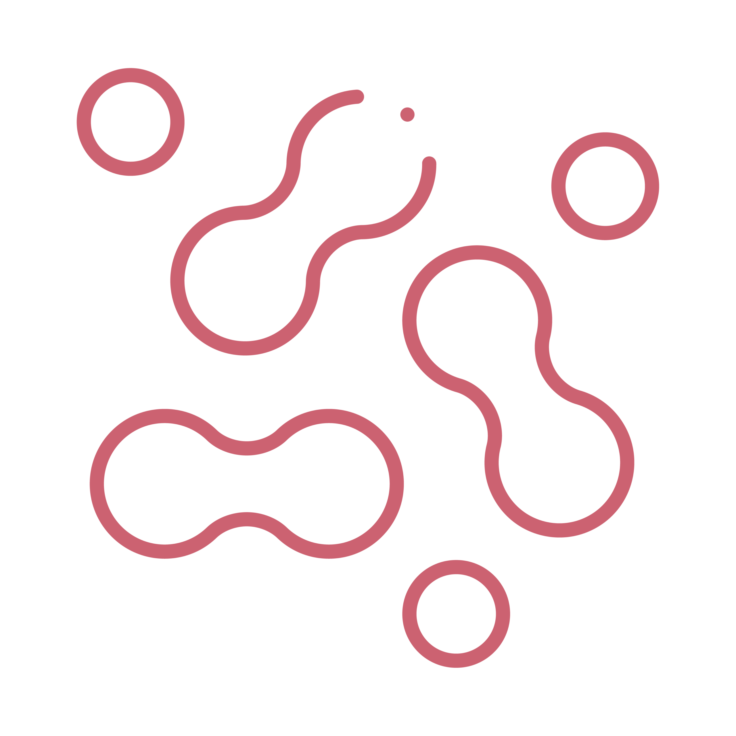 Ingredient Icons_L. Rhamnosus Rosell-11-13