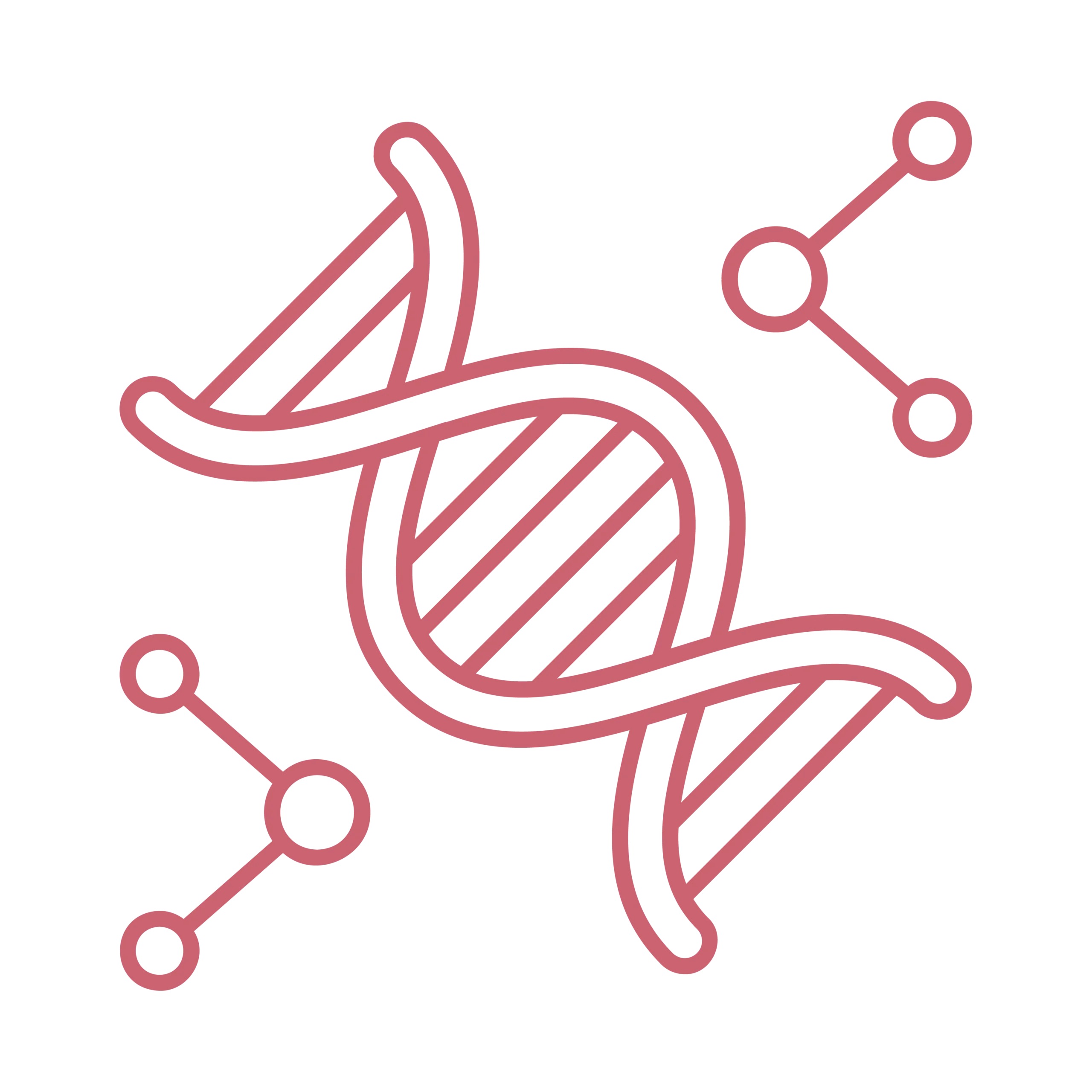 Ingredient-Icons_Nicotinamide-Mononucleotide-NMN-16-scaled